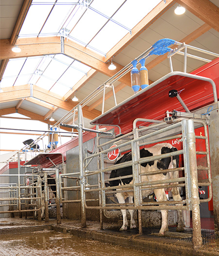 Ferme Cardinal & Frères