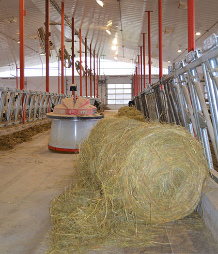 Ferme Lijonor 2012