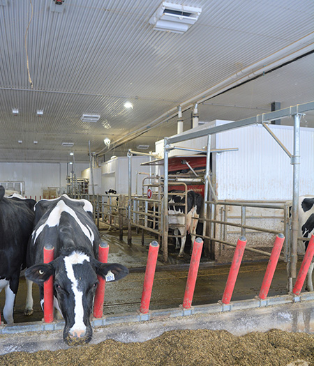 Ferme Claude O'Sullivan et Fils