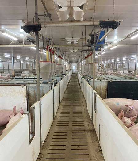Ferme du Beauporc