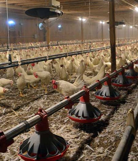 Ferme Claude Tellier