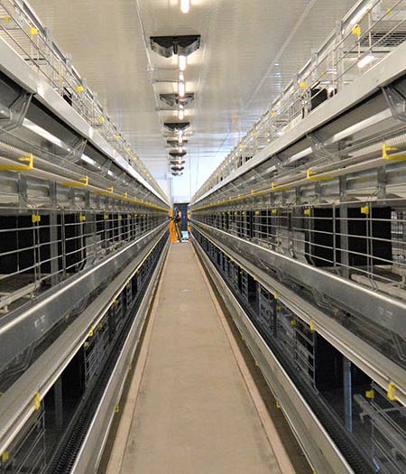 Ferme Clovis Gauthier & Fils
