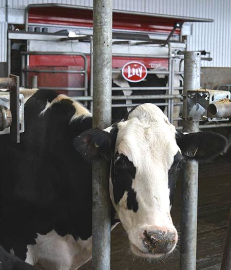 Ferme Denis Goyette