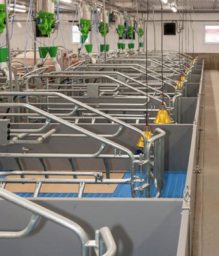 Ferme Équiporc