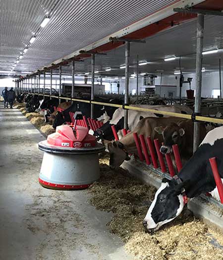 Ferme F.T.C.