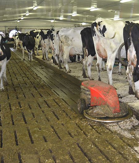 Ferme Laitquipe Michon