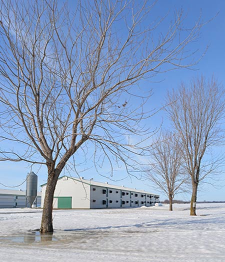 Ferme Patrick Bernier