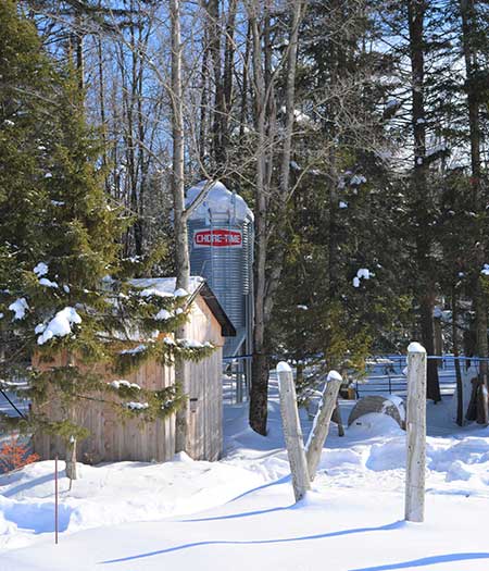 Le Vignoble du Ruisseau