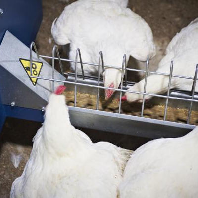 Systèmes d'alimentation à chaîne